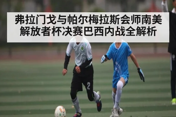 弗拉门戈与帕尔梅拉斯会师南美解放者杯决赛巴西内战全解析